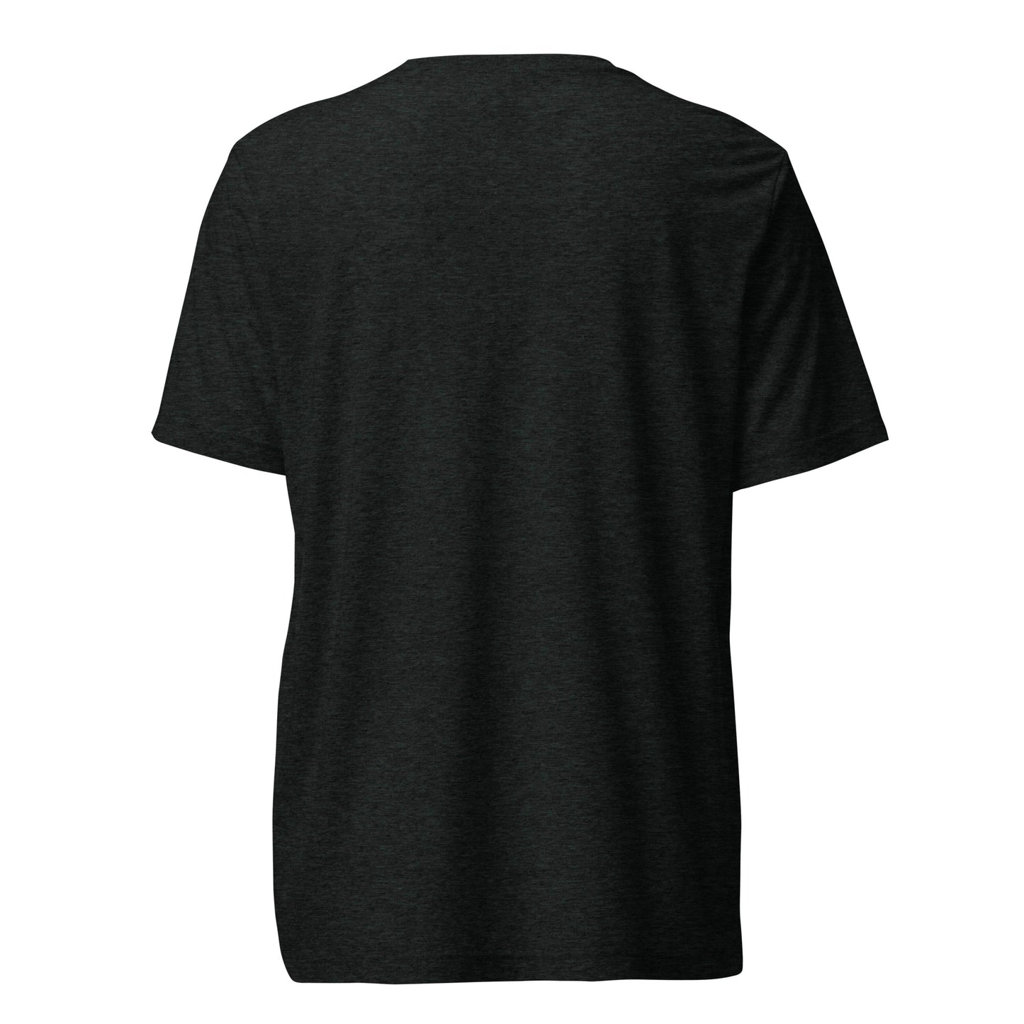 Discernment Triblend T-Shirt