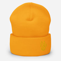 Holy Spirit Empowered Beanie | Embroidered Flame