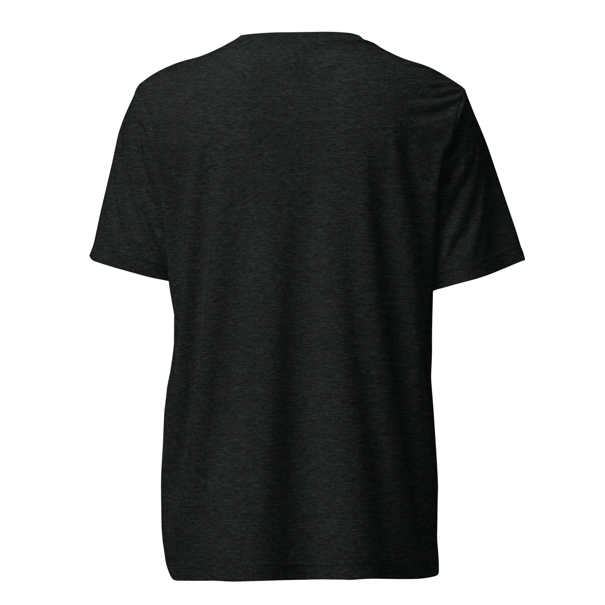 Discernment Triblend T-Shirt